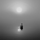 .....silence VI.....