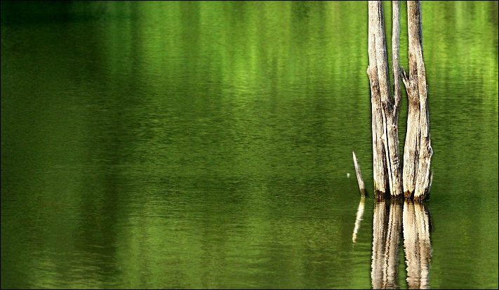 silence~is~green /sometimes/