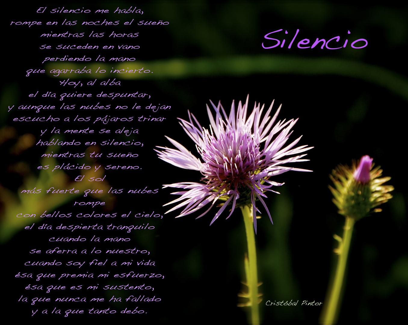 silencio