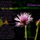 silencio