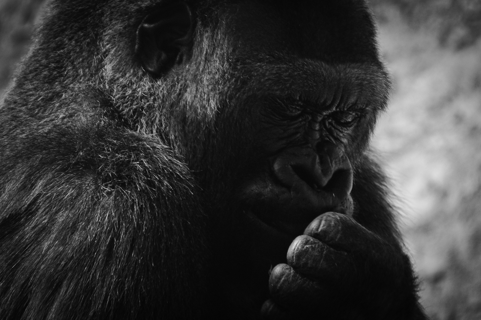 Silencio por favor, estoy soñando!!!!!!