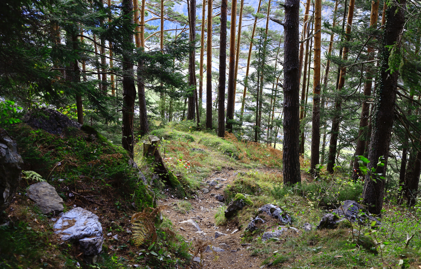 Silenen , Uri Foto & Bild landschaft, jahreszeiten, herbst Bilder auf