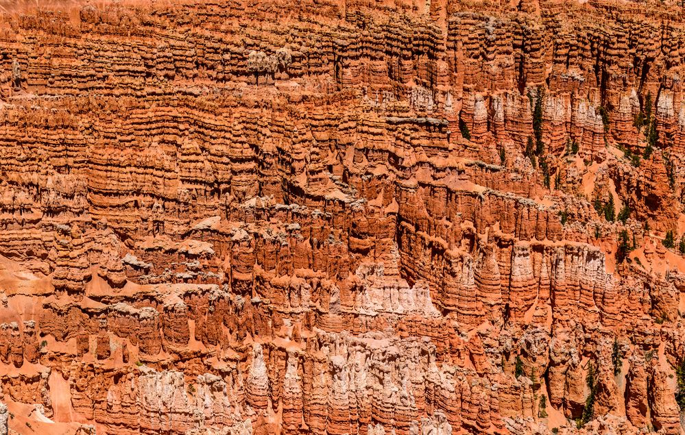 Silent City, Bryce Canyon NP, Utah, USA