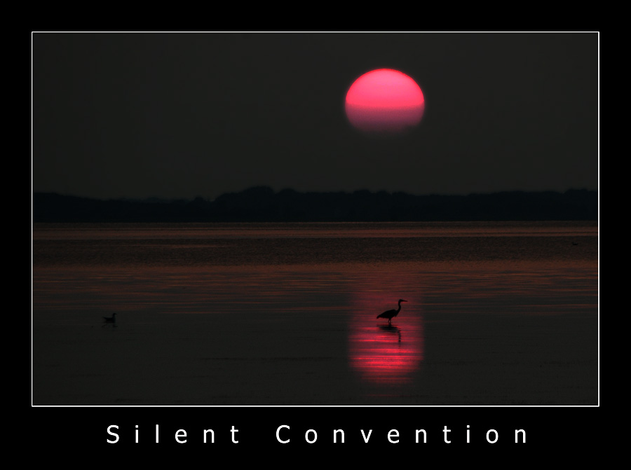 Silent Convention