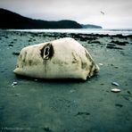 Silent death of a Buoy