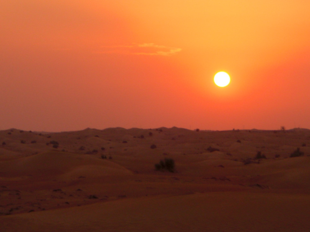 Silent Desert