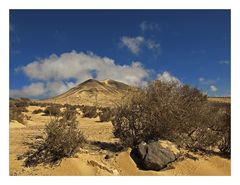 silent desert