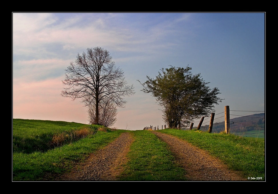 Silent Evening