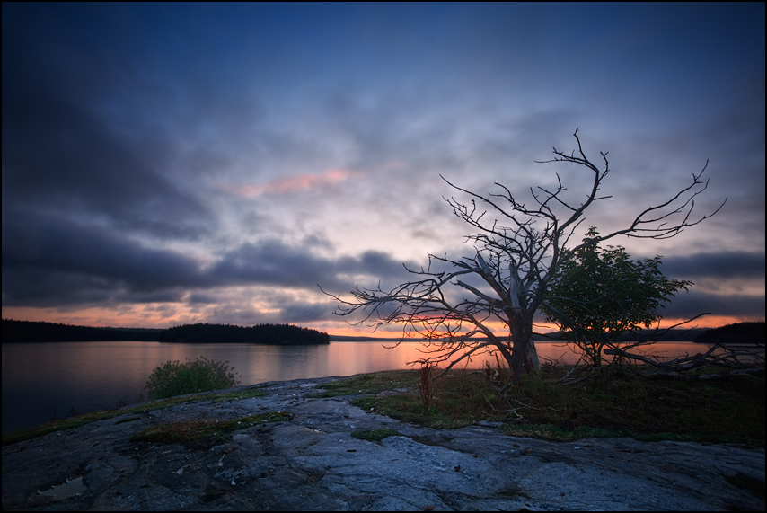 silent island