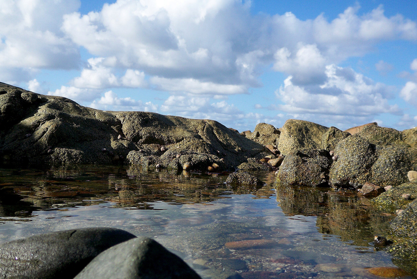 Silent Lake II