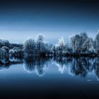 SILENT LAKE IN WINTER