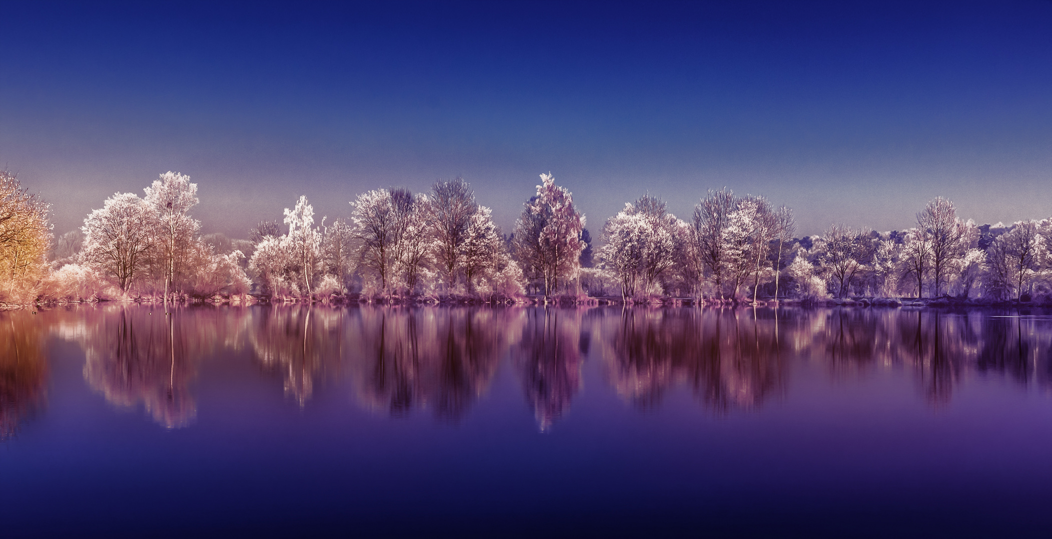 SILENT LAKE IN WINTER II