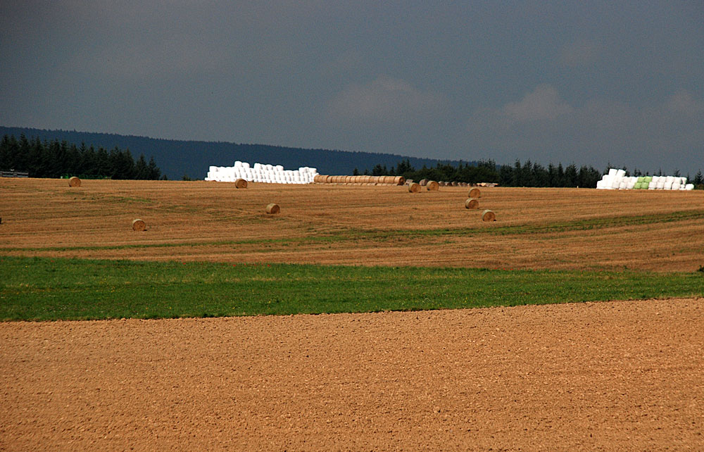 Silent Landscape