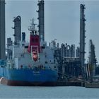 SILENT /   / Oil/Chemical Tanker / Antwerpen