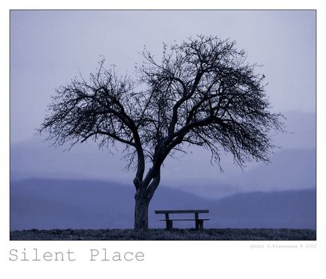 Silent Place