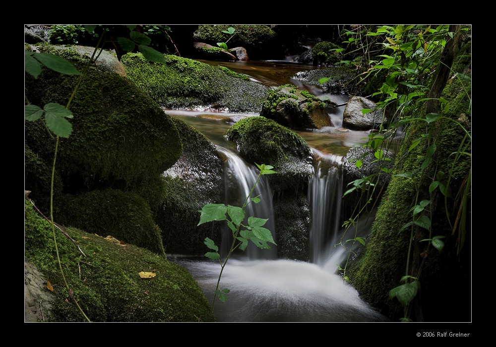 "Silent Places"