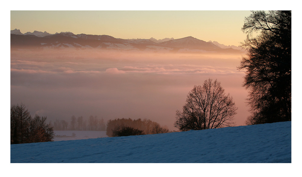 Silent Winter