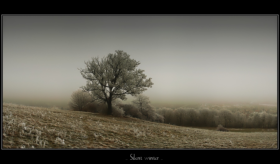 silent winter