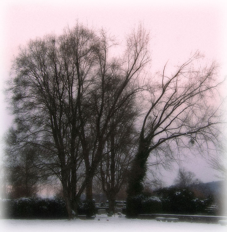 Silent Winter's Eve