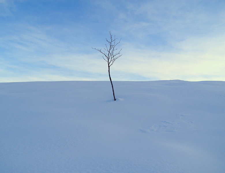 silenzio