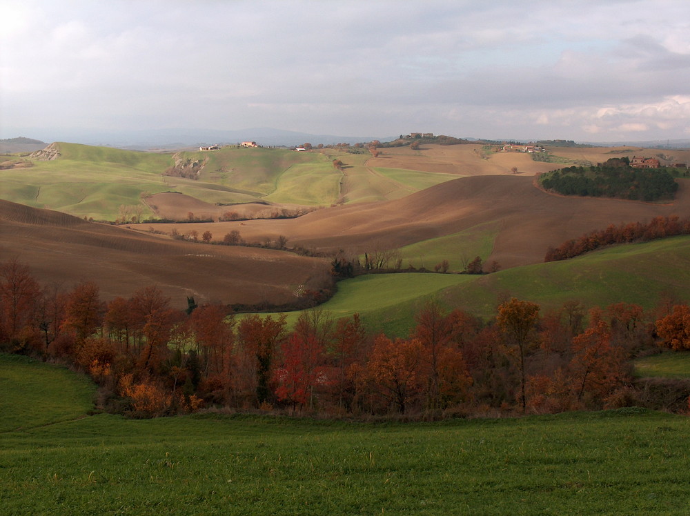 silenzio assoluto