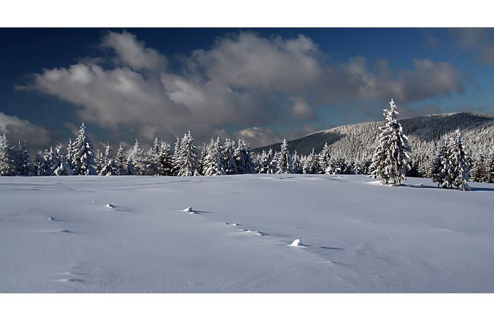 Silenzio invernale...