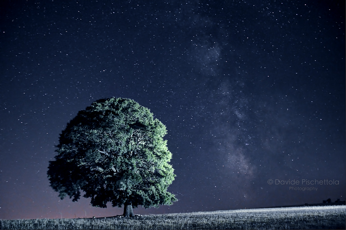 Silenzio tra le stelle