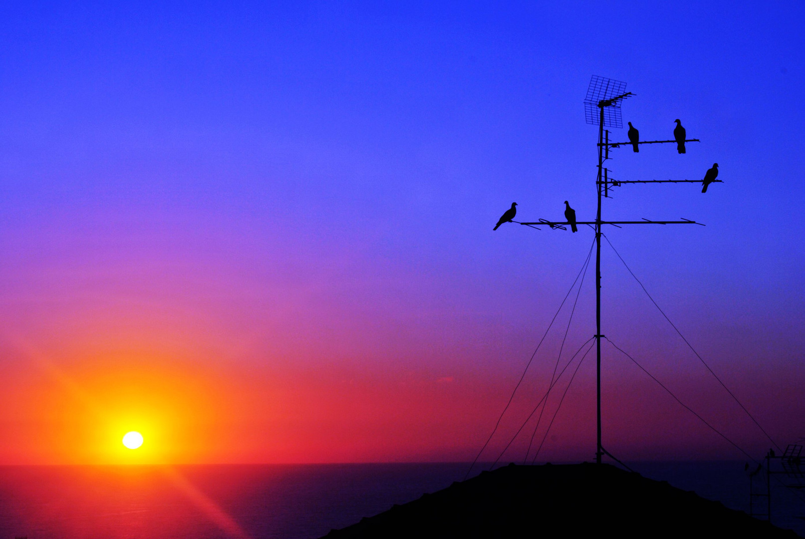 silenzio, tutti a contemplare l'inizio di un nuovo giorno ..