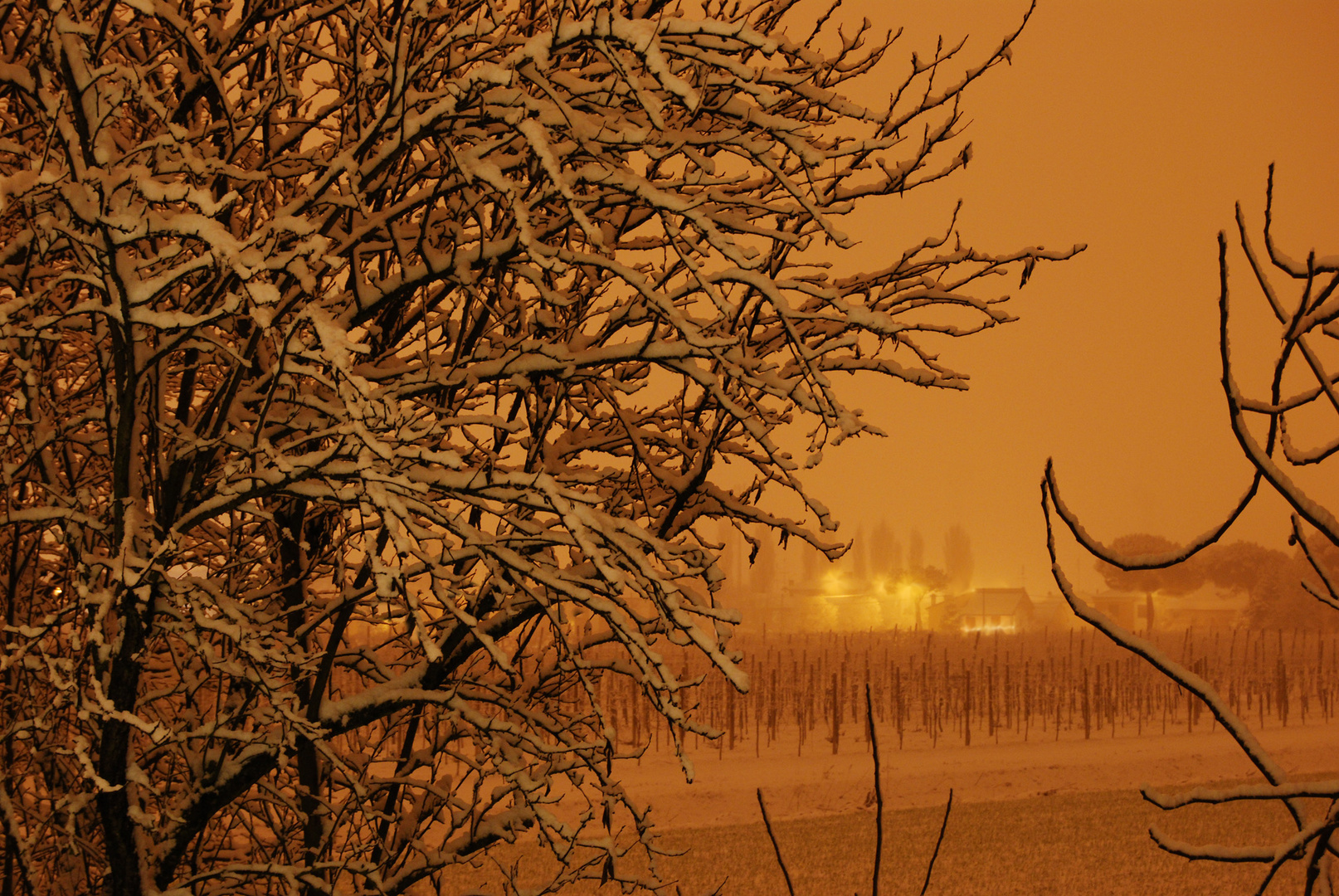 Silenzio...nevica