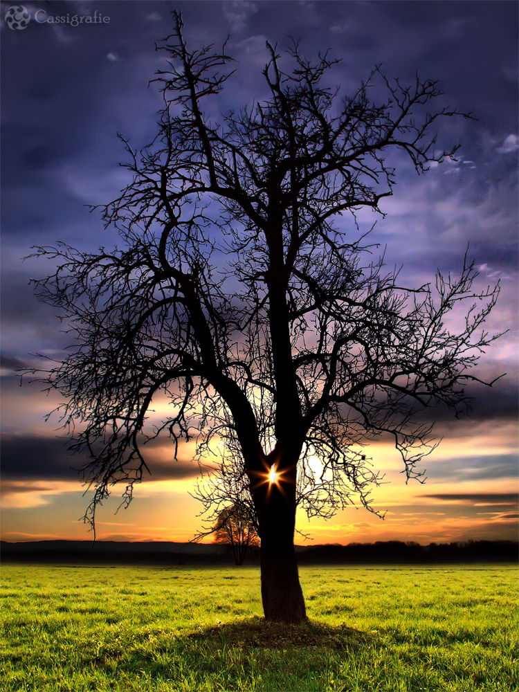 Silhouäste - HDR