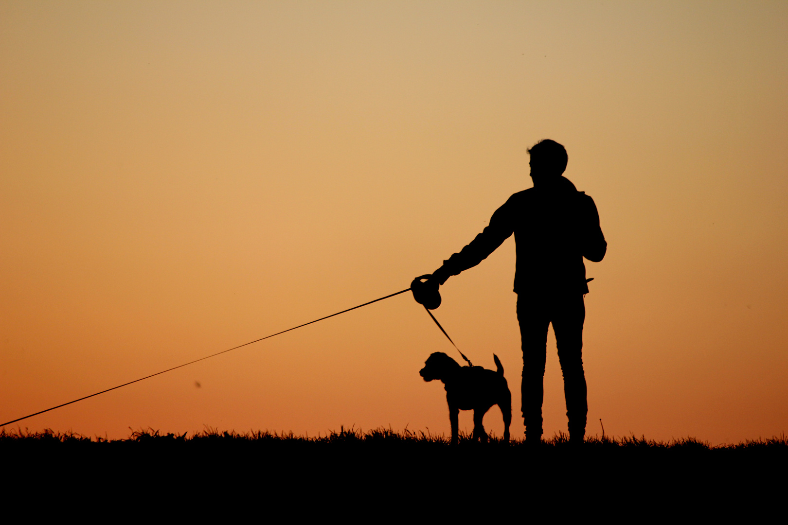 Silhouette