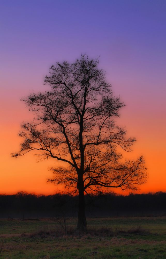 Silhouette am Abend