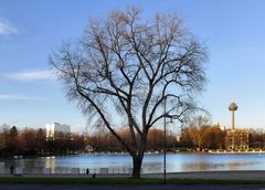 Silhouette am späten Nachmittag