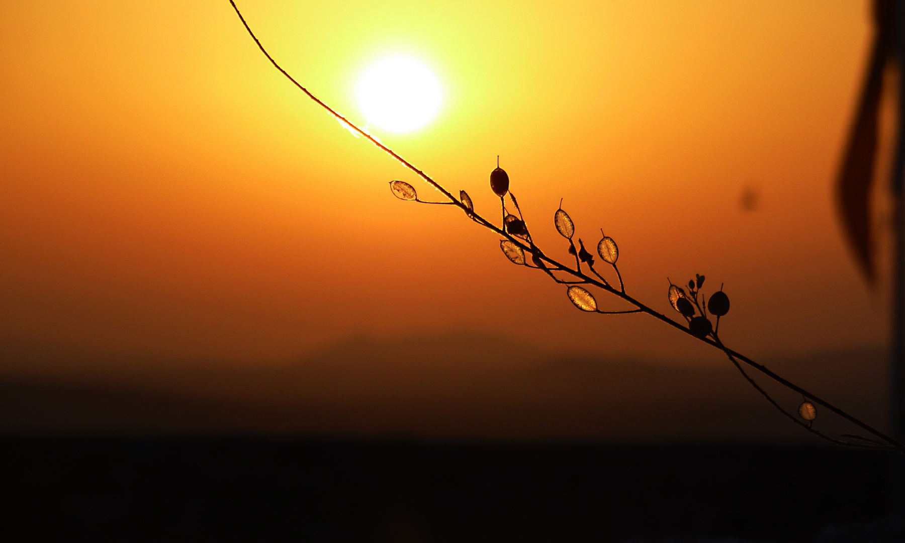 Silhouette beim Sonnenuntergang