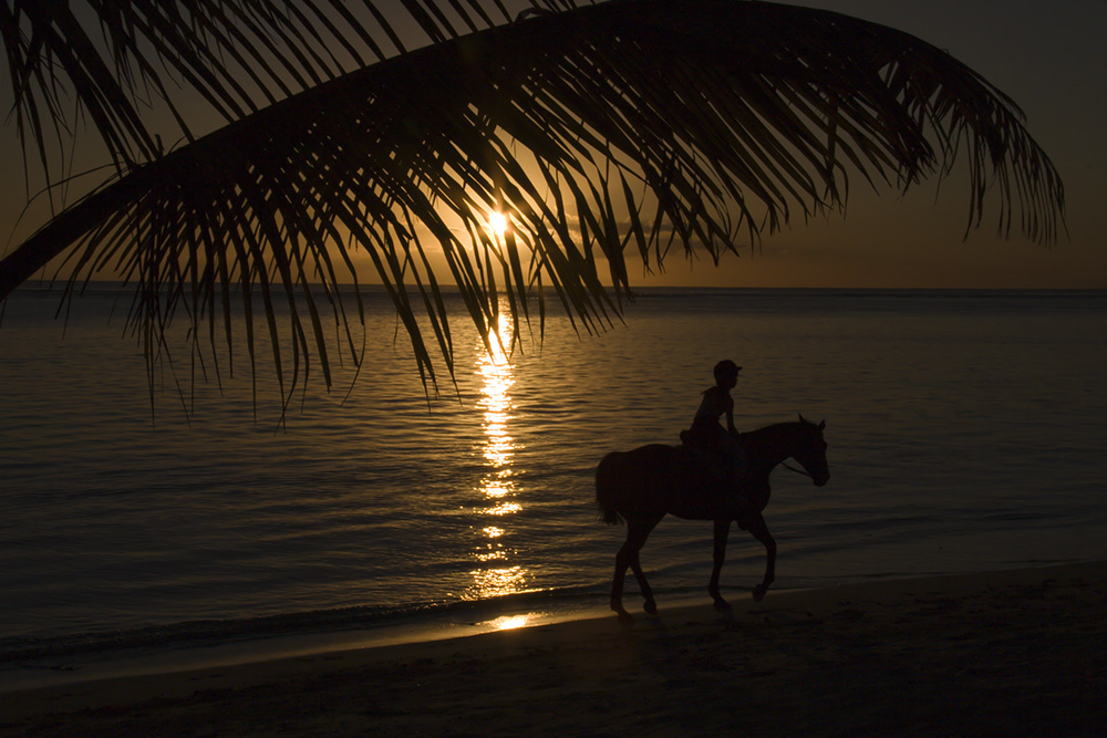 ~ Silhouette ~