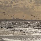 Silhouette Den Haag/ Scheveningen aus 15 km Entfernung