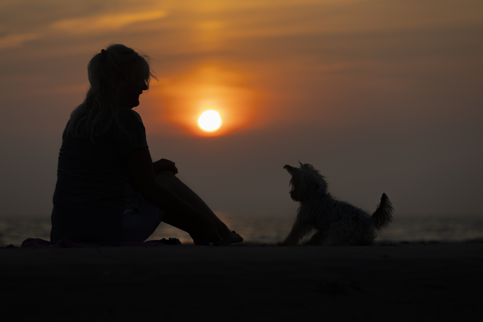 Silhouette einer Strandszene