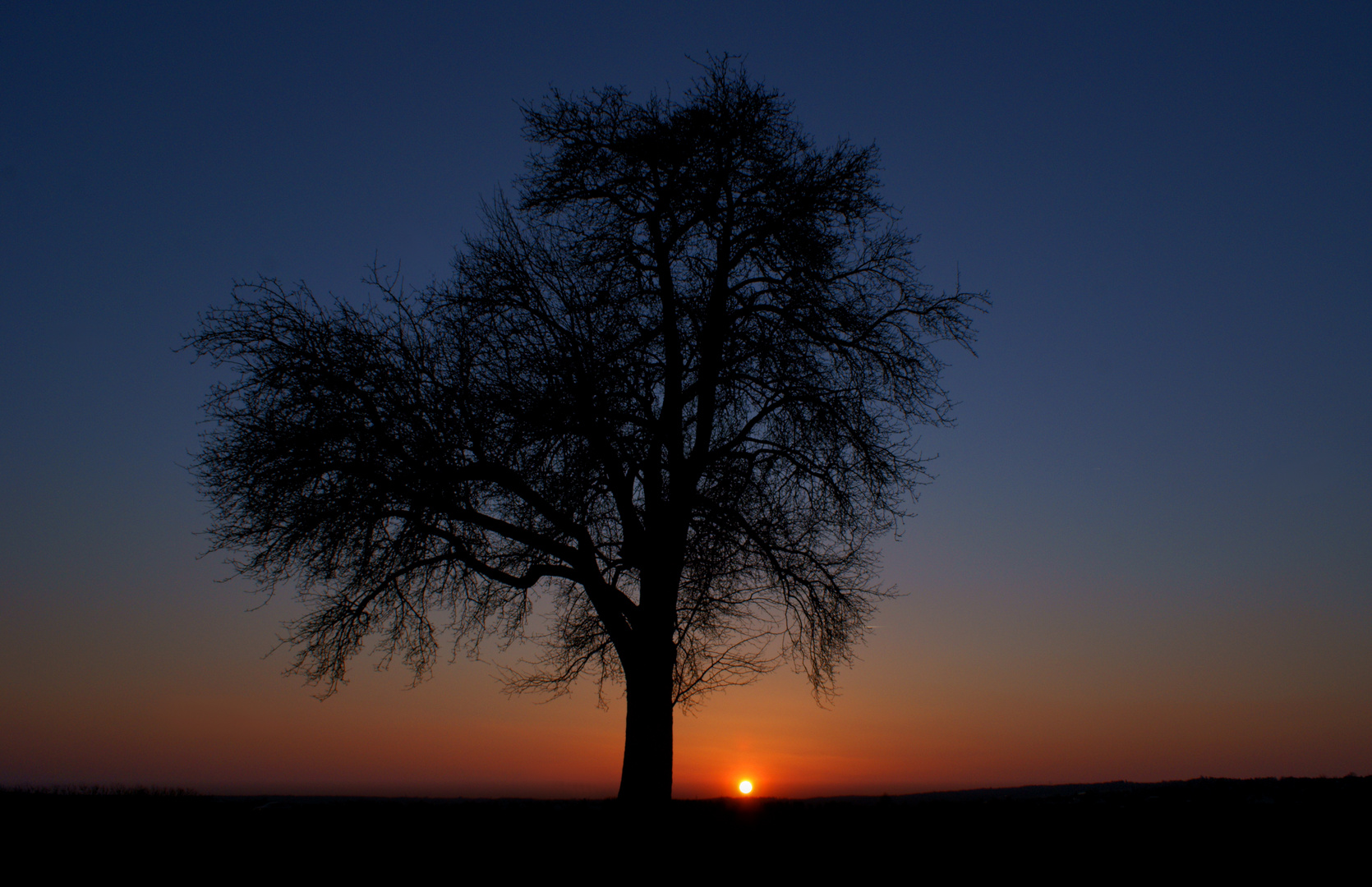 Silhouette im Abendlicht