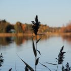 Silhouette im Herbst