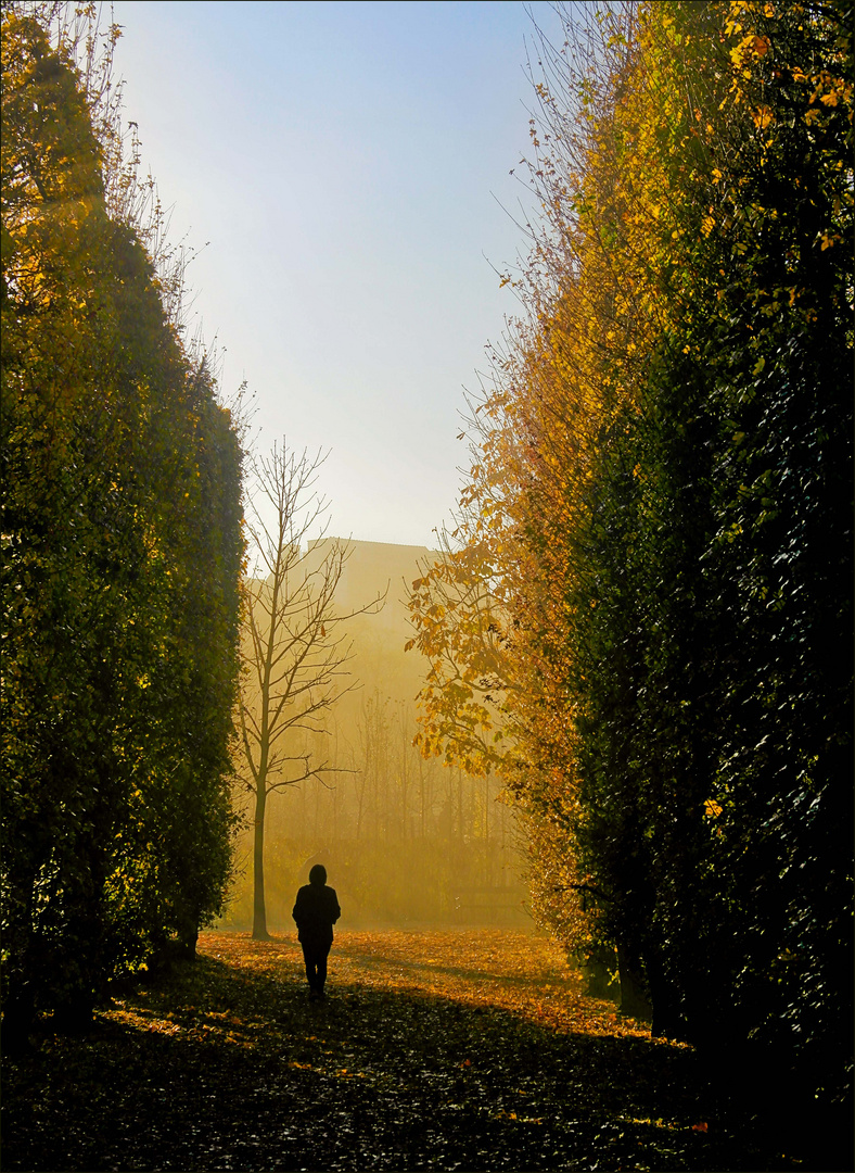 Silhouette im Morgenlicht