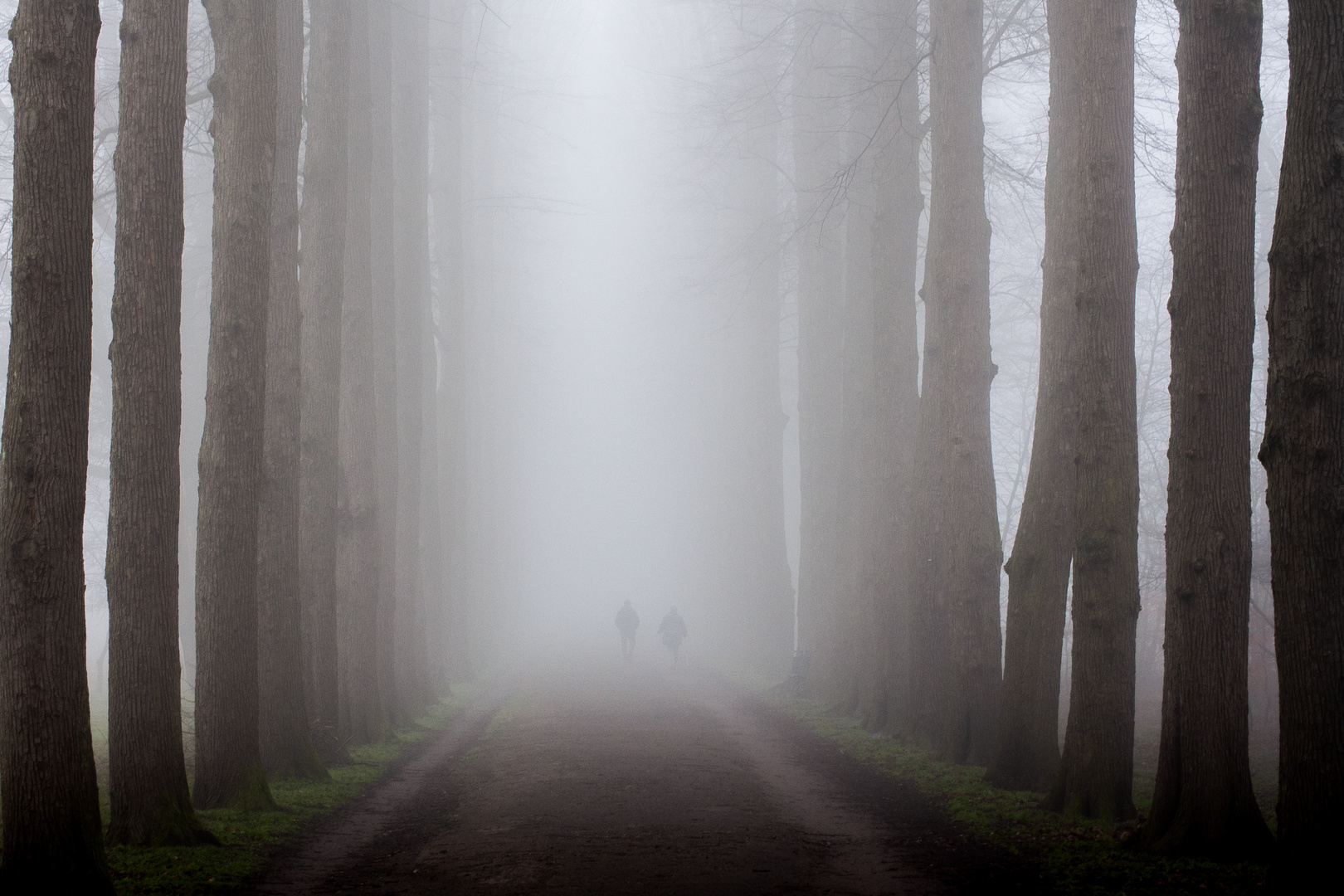 Silhouette im Nebel