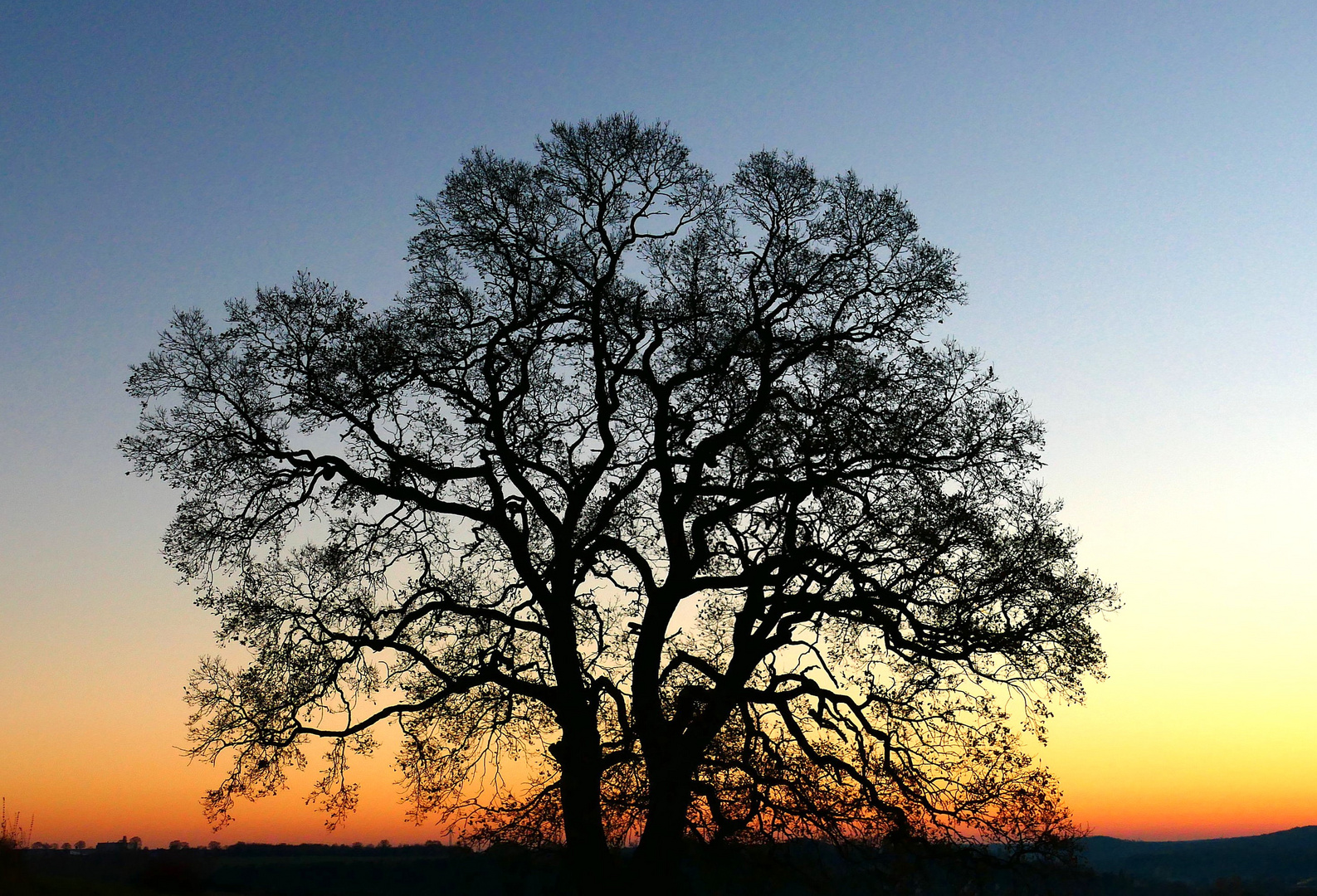 Silhouette in der Abenddämmerung (1)