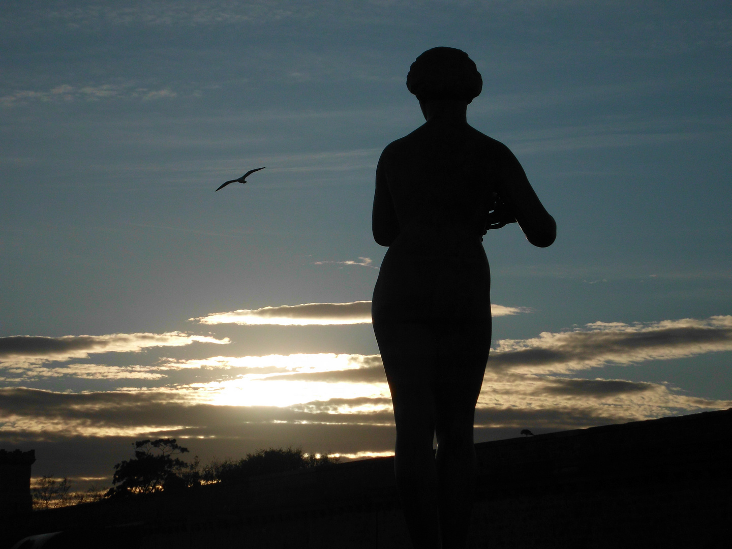 Silhouette in der Dämmerung