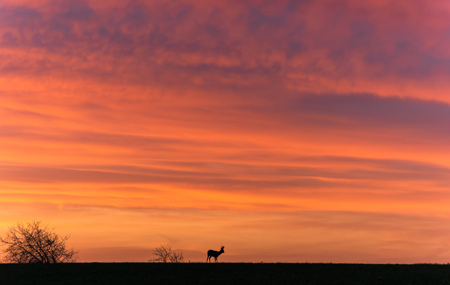 Silhouette in der Dämmerung