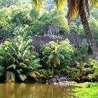 Silhouette Island Dschungel