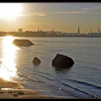 Silhouette of Tallinn