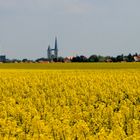 Silhouette von Halberstadt