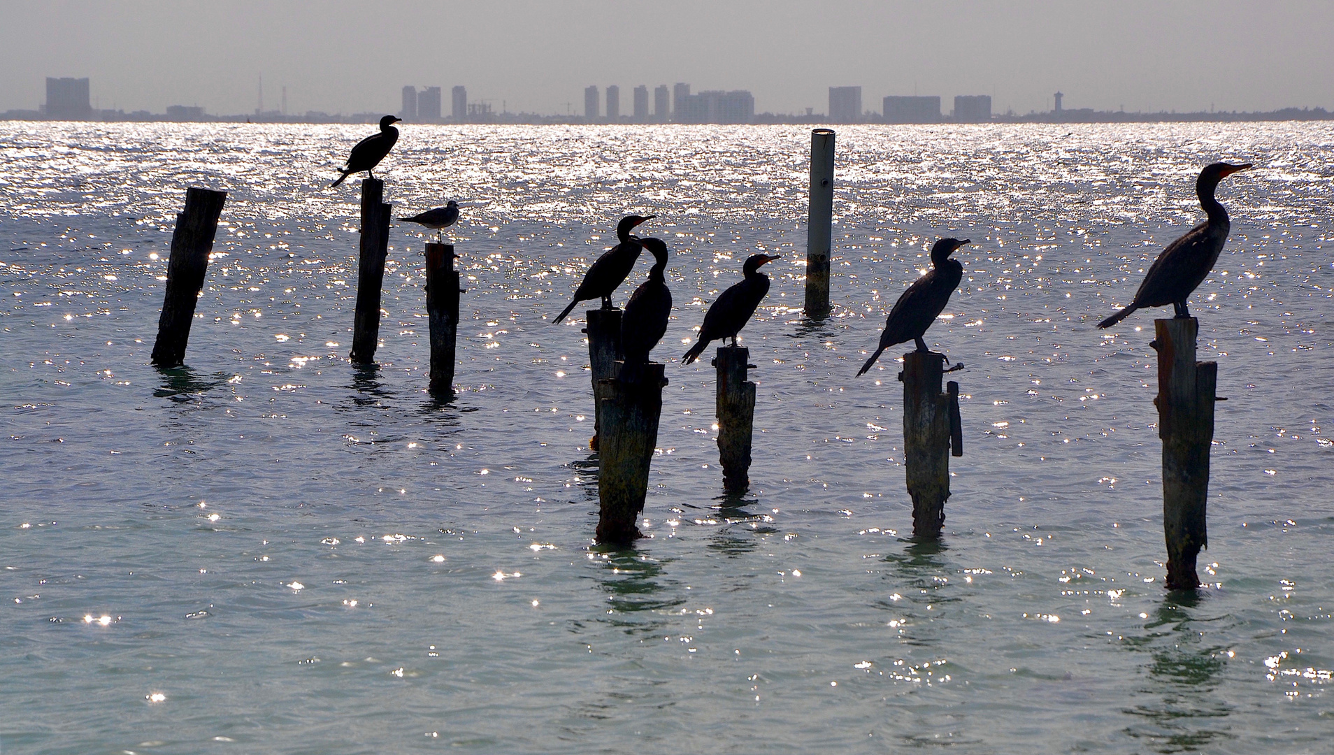 Silhouetten Cancun´s