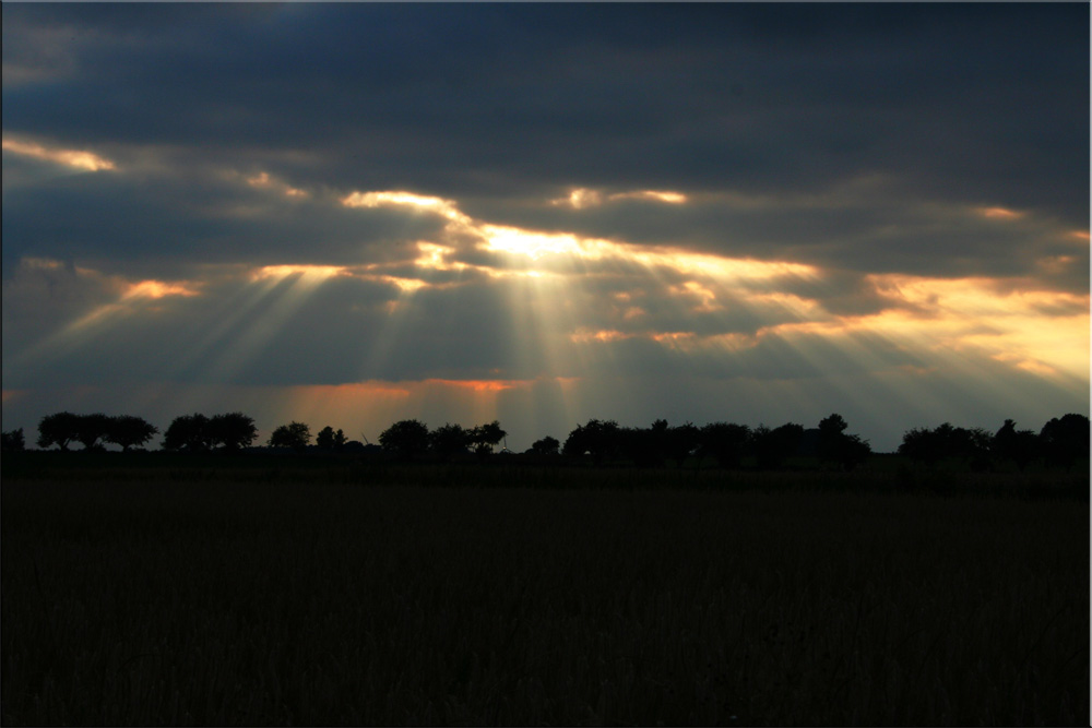 "Silhouetten I"