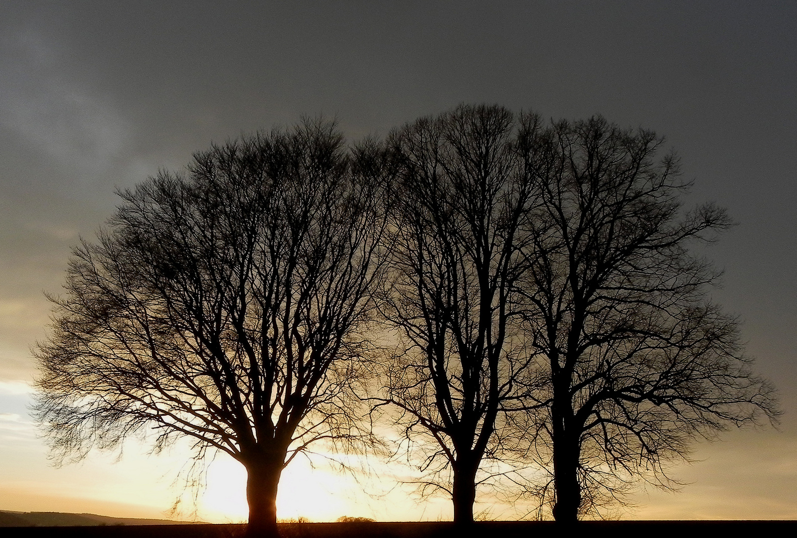 Silhouetten im Abendlicht